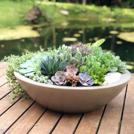 Verona Bowl