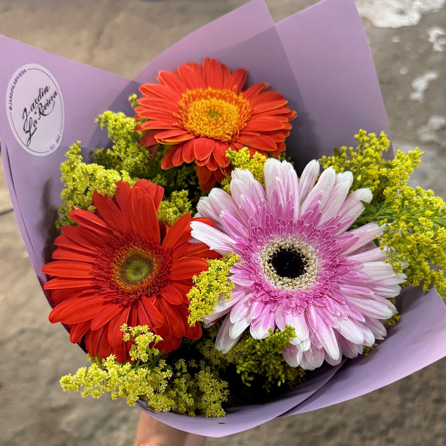 Gerberas arregladas