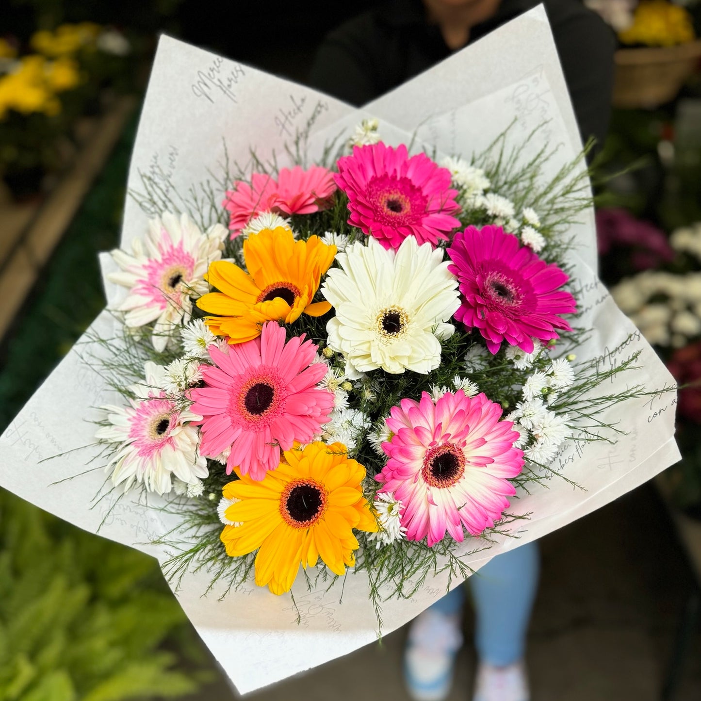 Gerbera arreglada