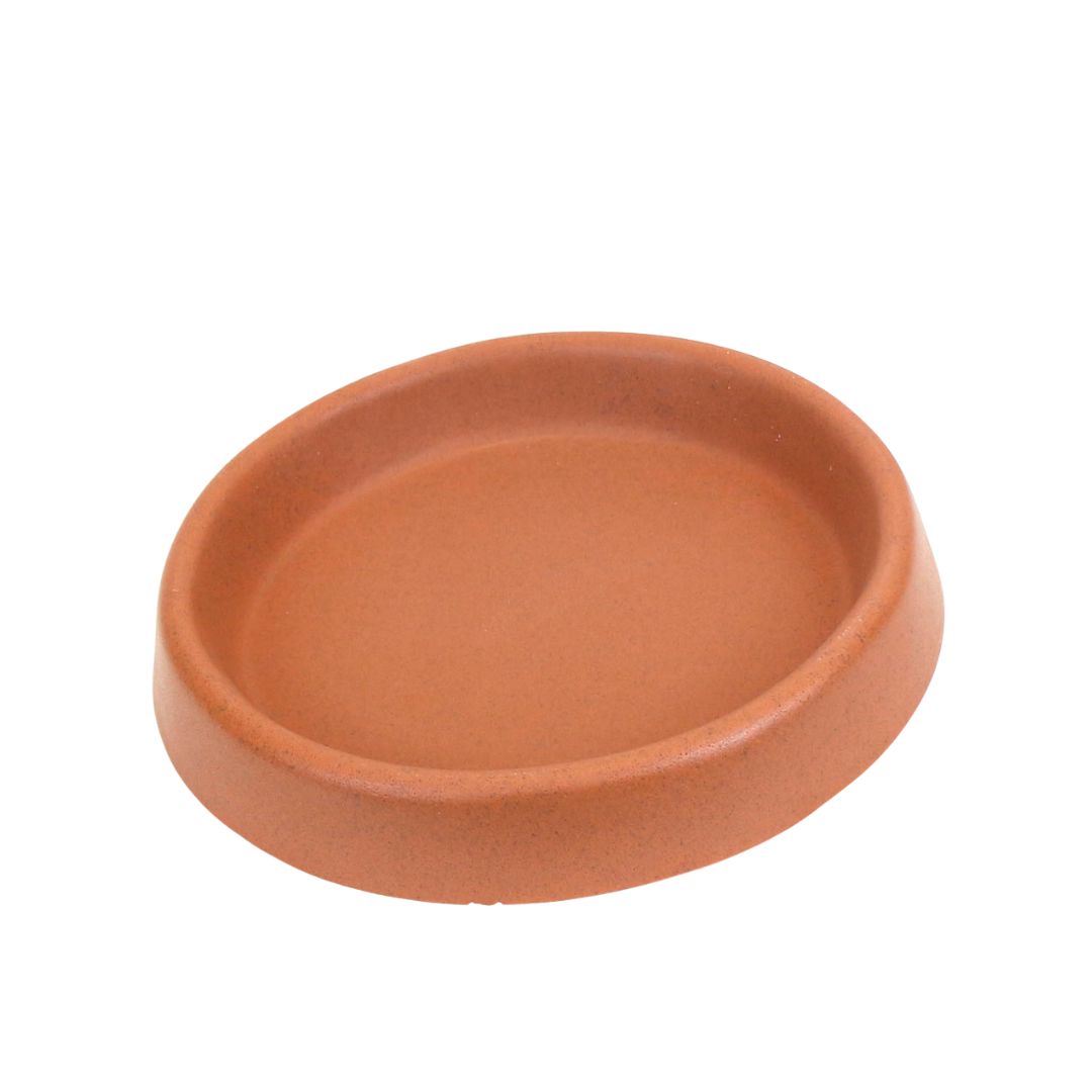 Plato liso