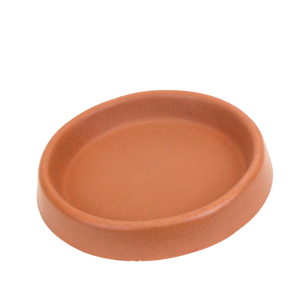 Plato liso