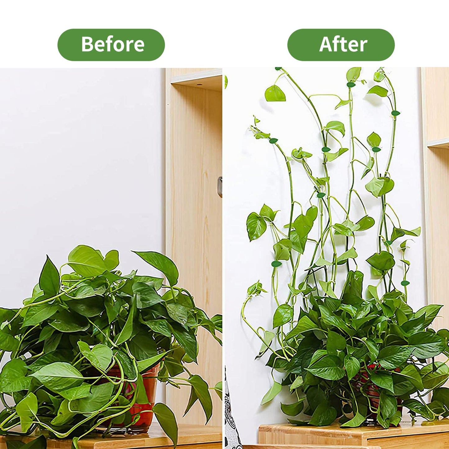 Gancho tutor de pared