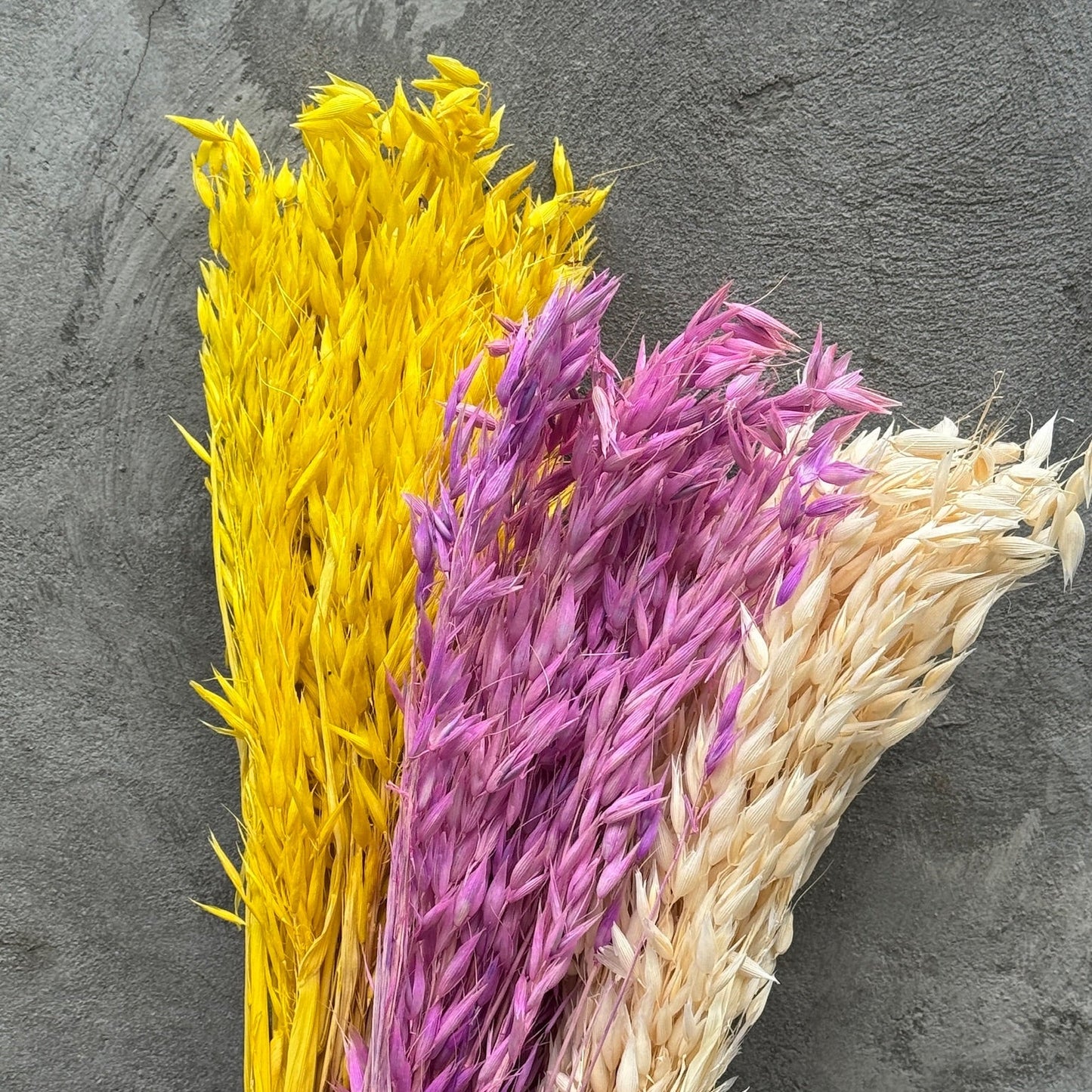 Flor de avena