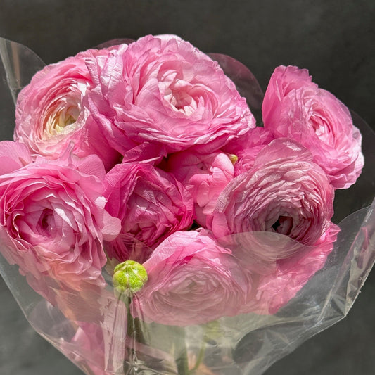 Ranunculus