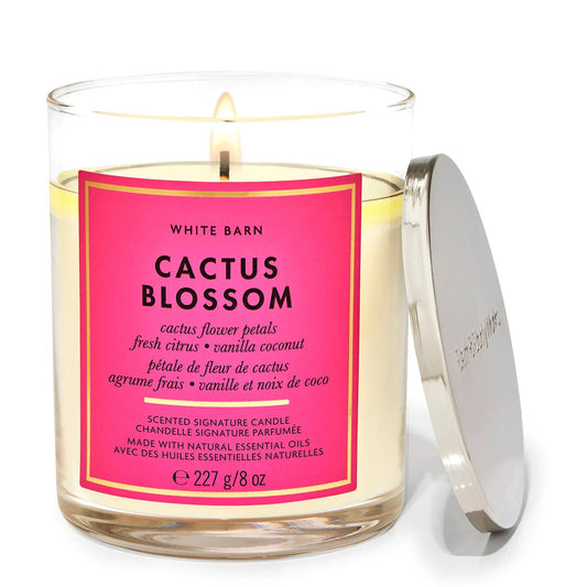 B&BW Vela Pequeña CACTUS BLOSSOM