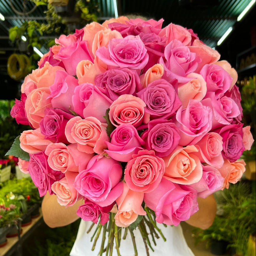 Rose parade