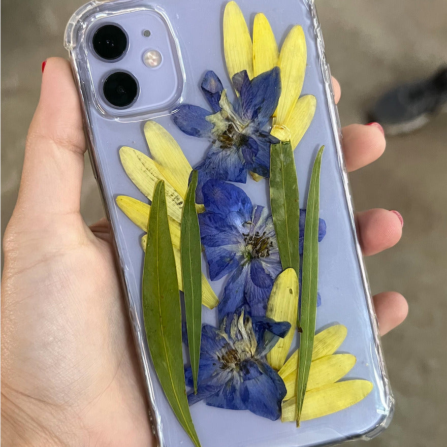 Case