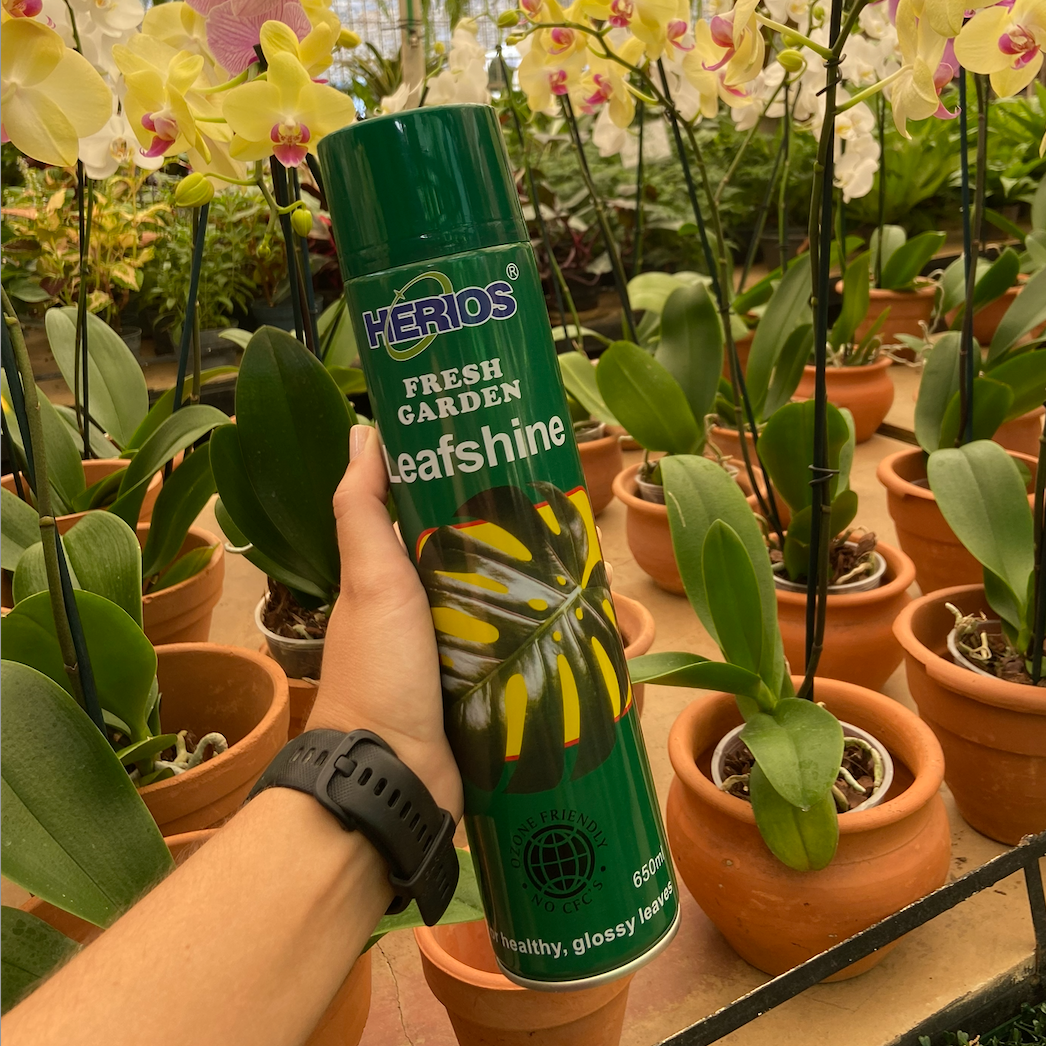 Aerosol Brilla Hoja