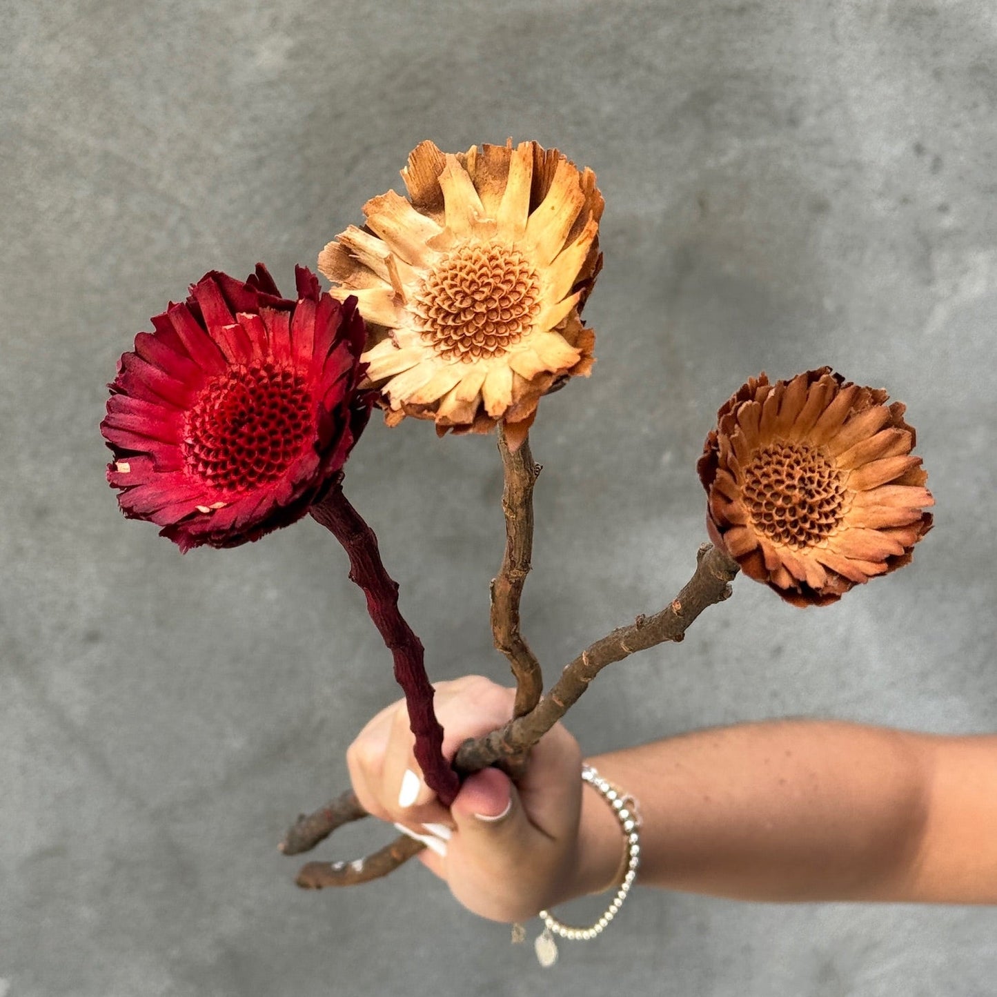 Girasol preservado