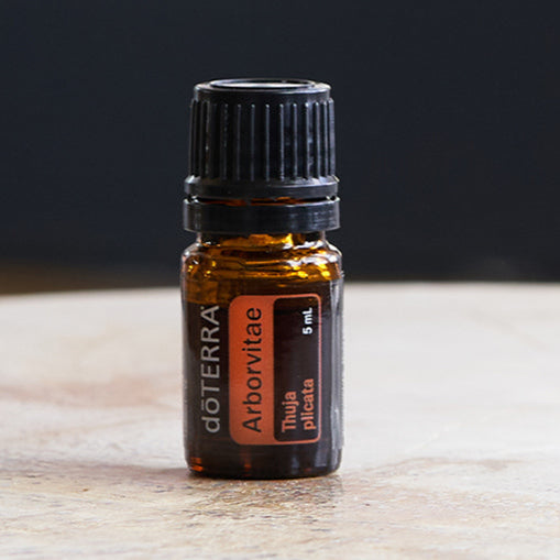 DOTERRA ARBORVITAE 5ML