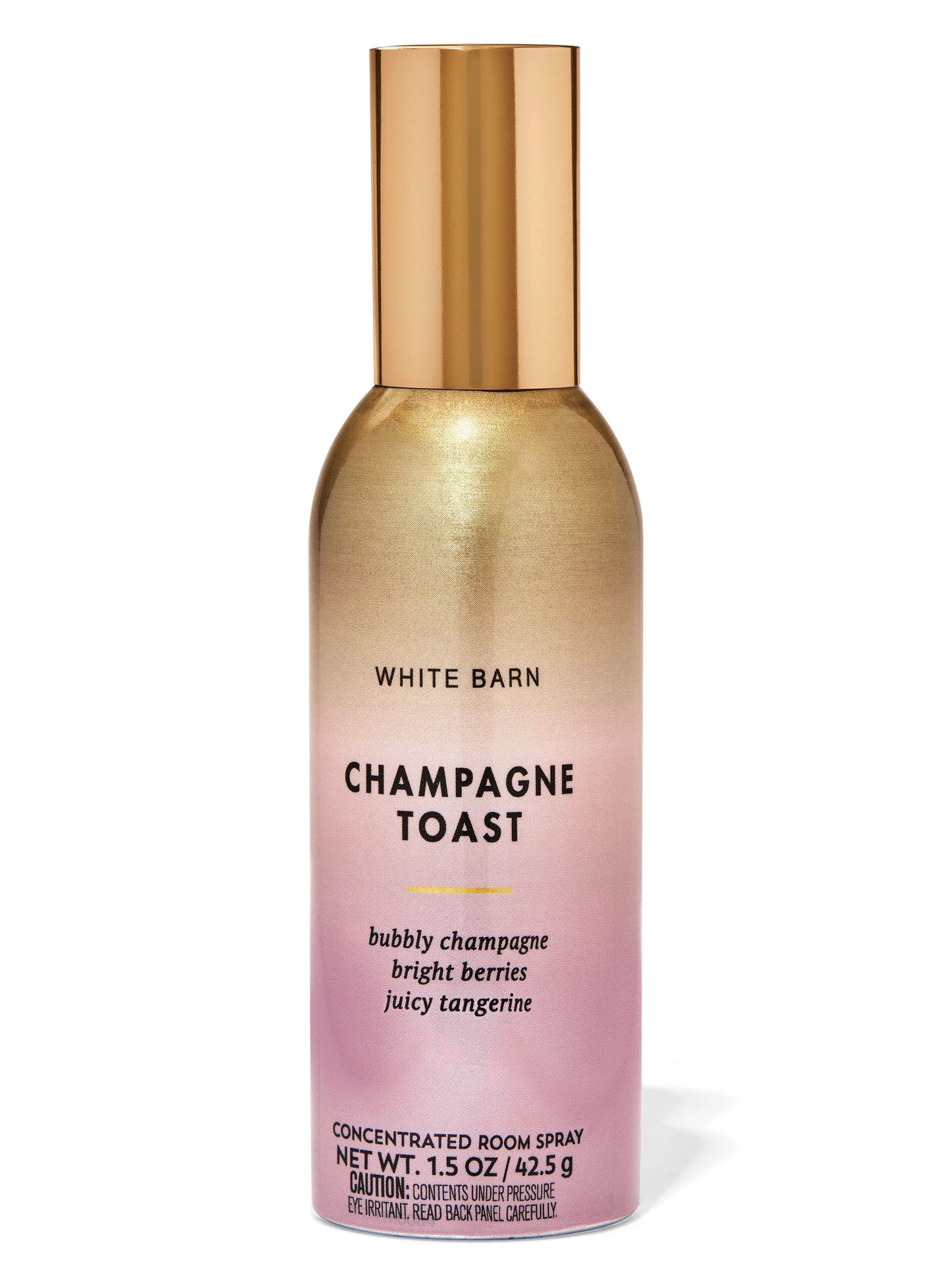 SPRAY CHAMPAGNE TOAST