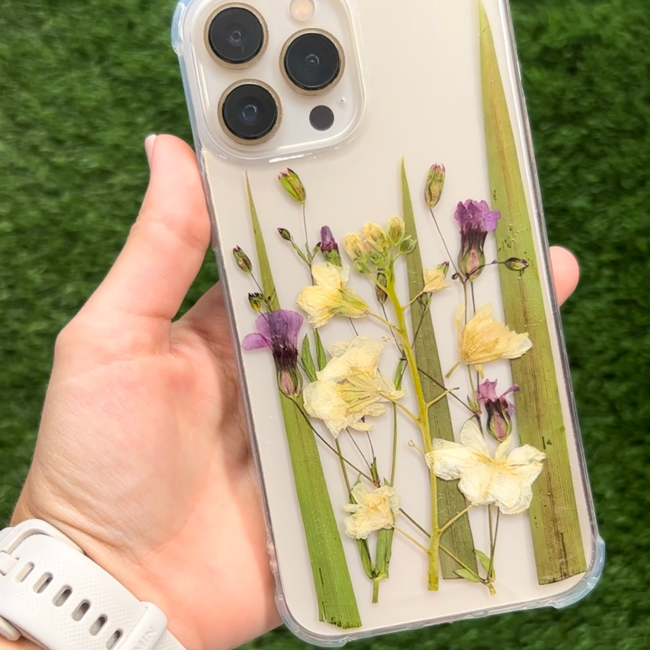 Case