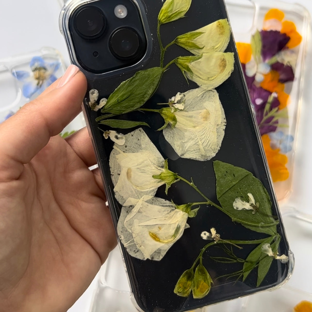 Case