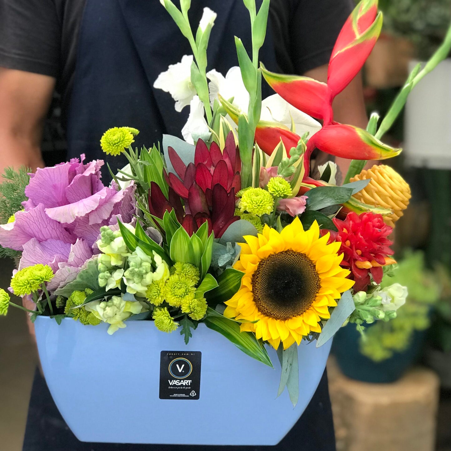 Tropical Box