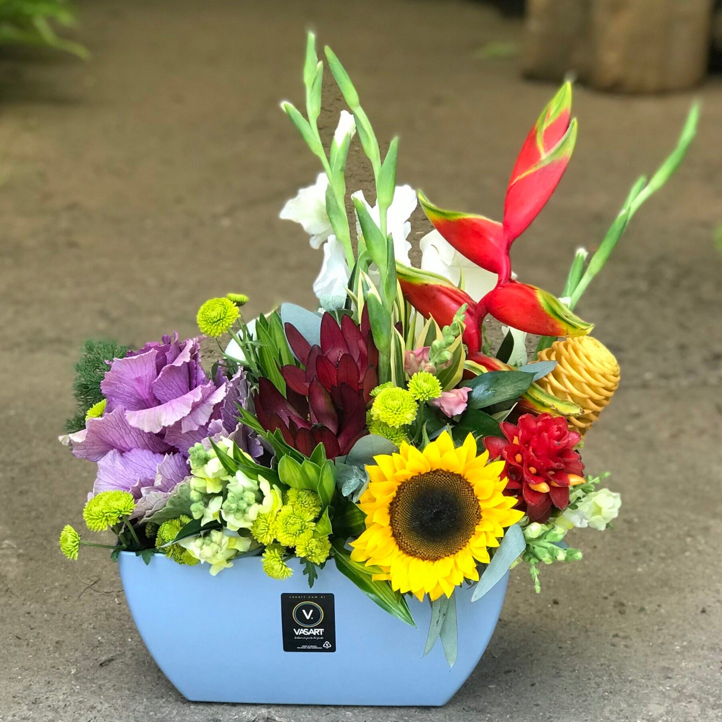 Tropical Box
