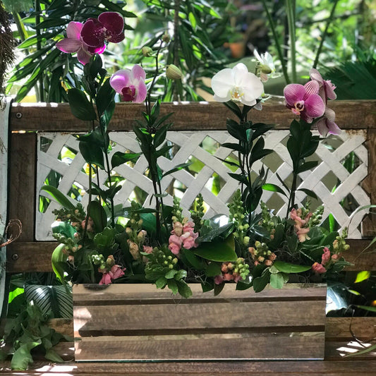 Jardín de Orquídeas