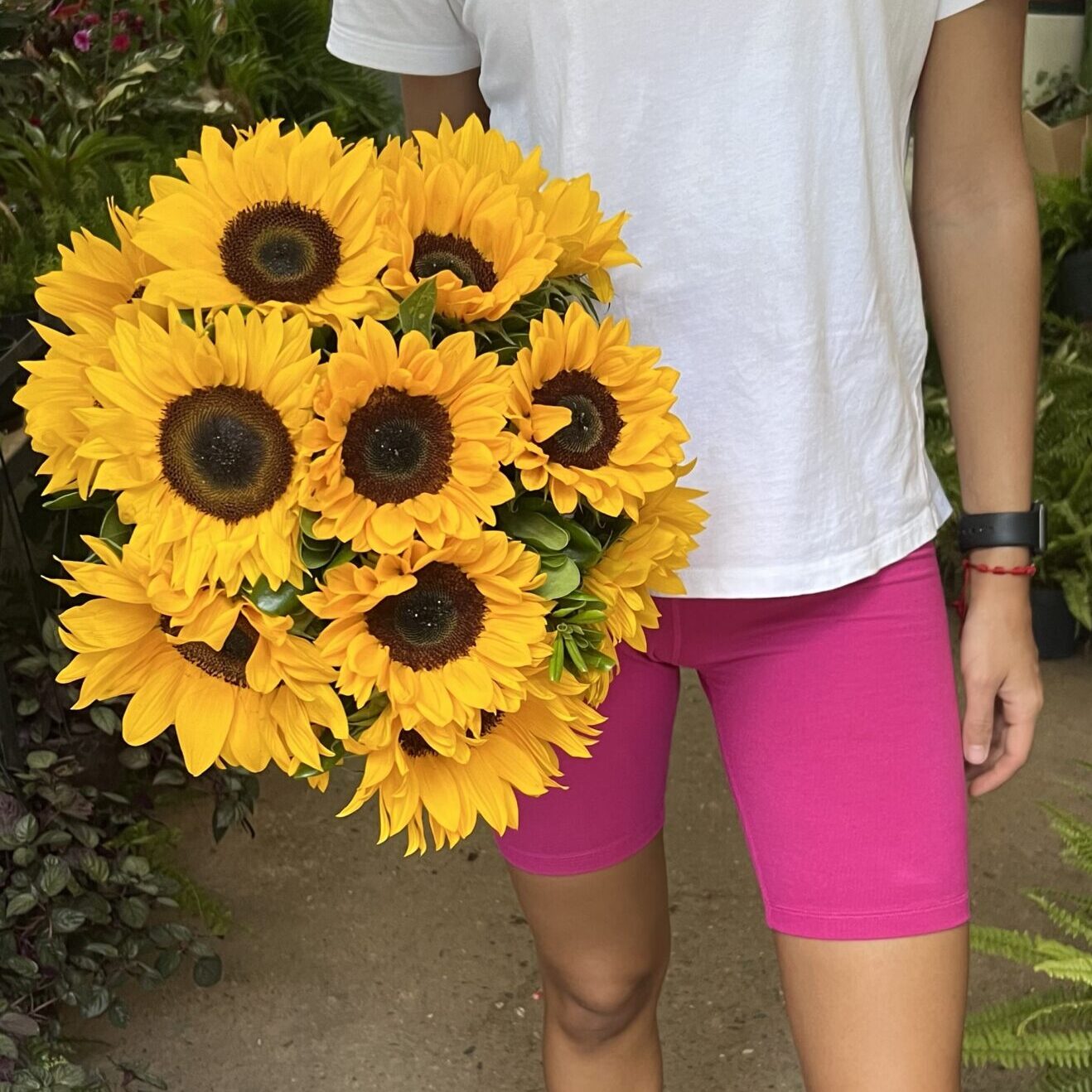 Girasol