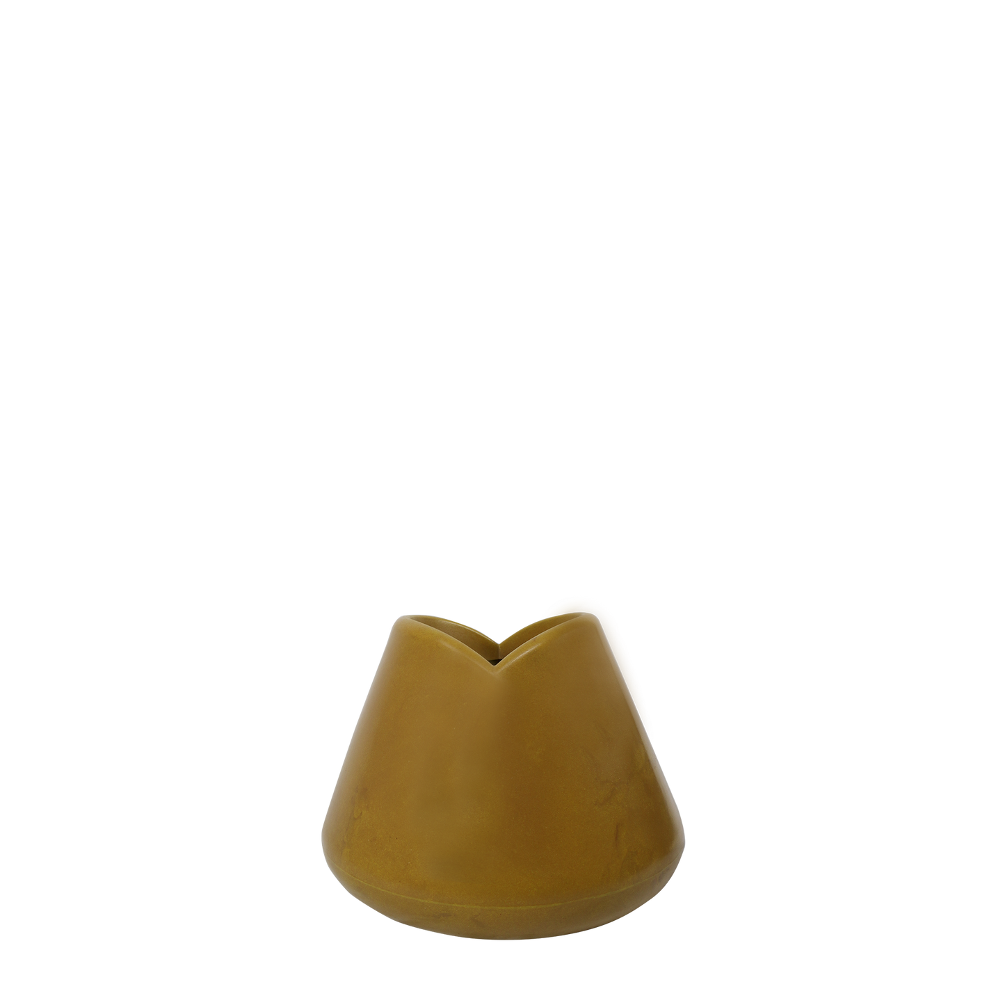 Tulipán + Zamia