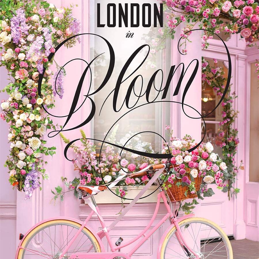 Bloom
