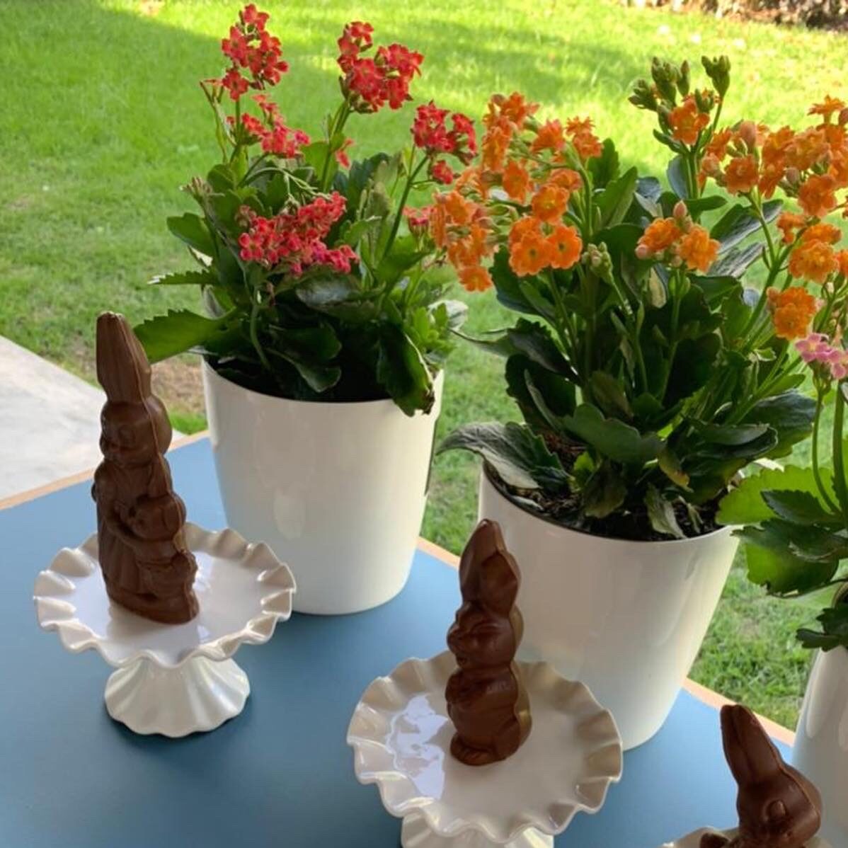 Orquídea