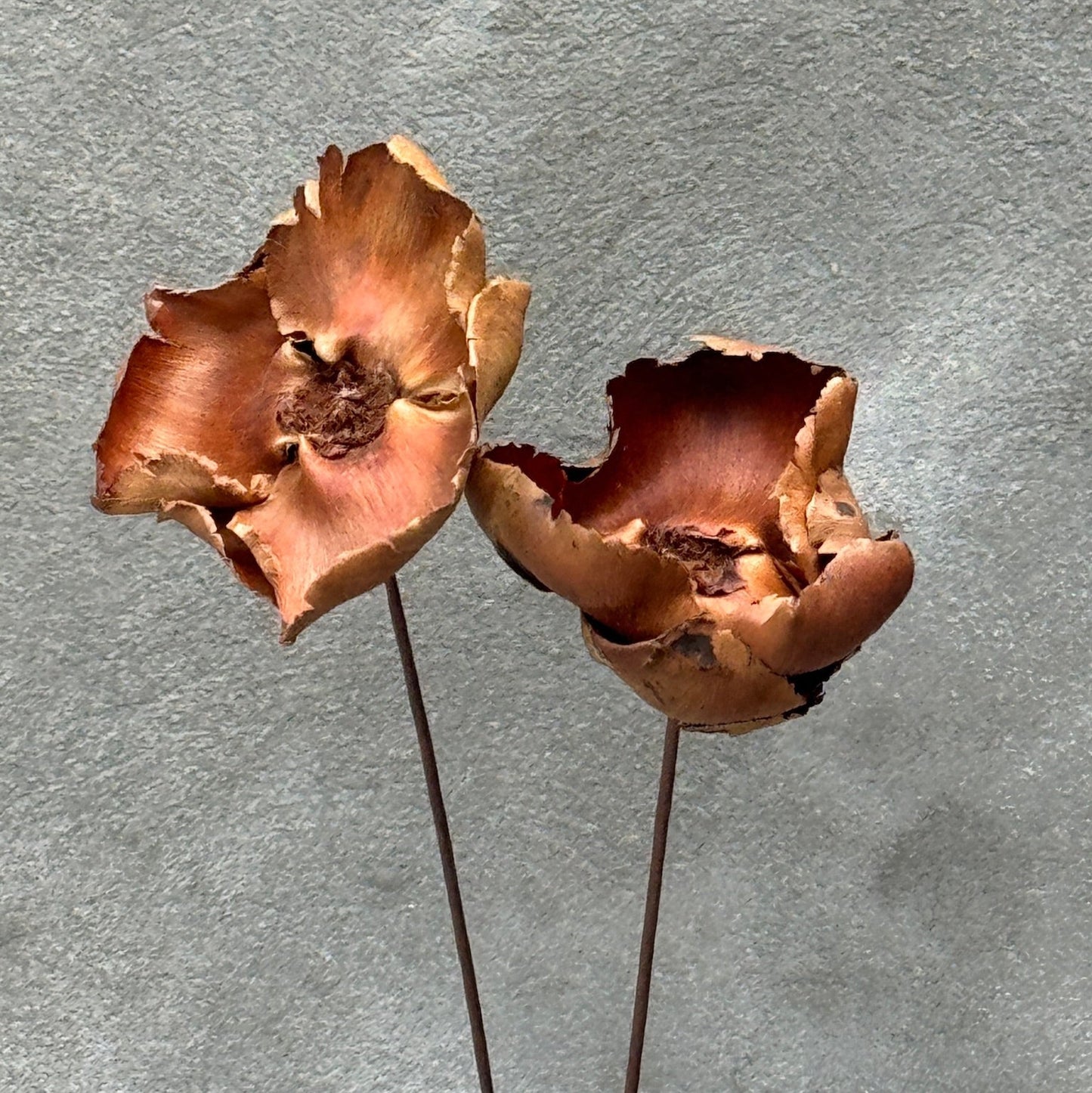 Flor de palma