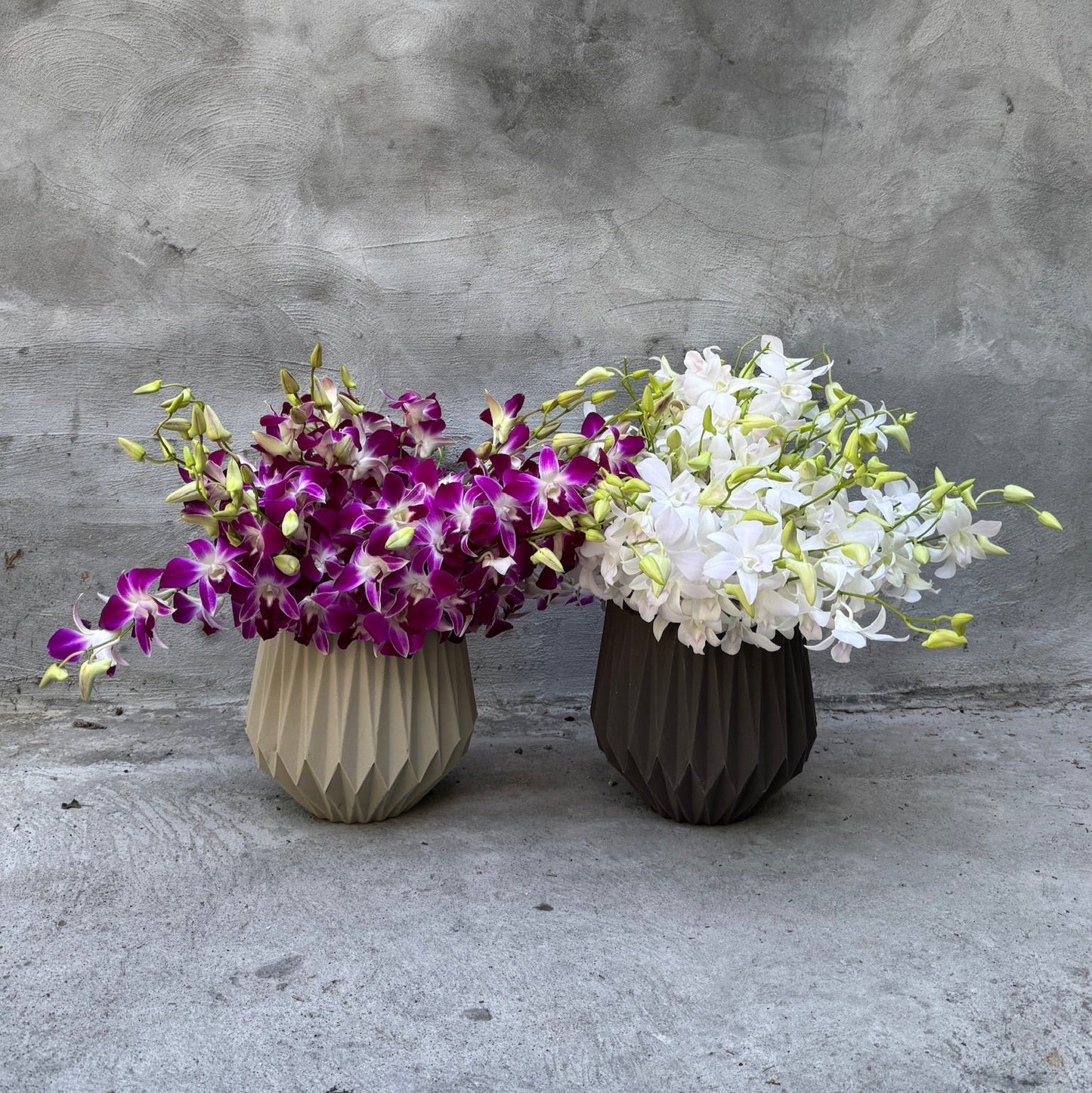 Dendrobium