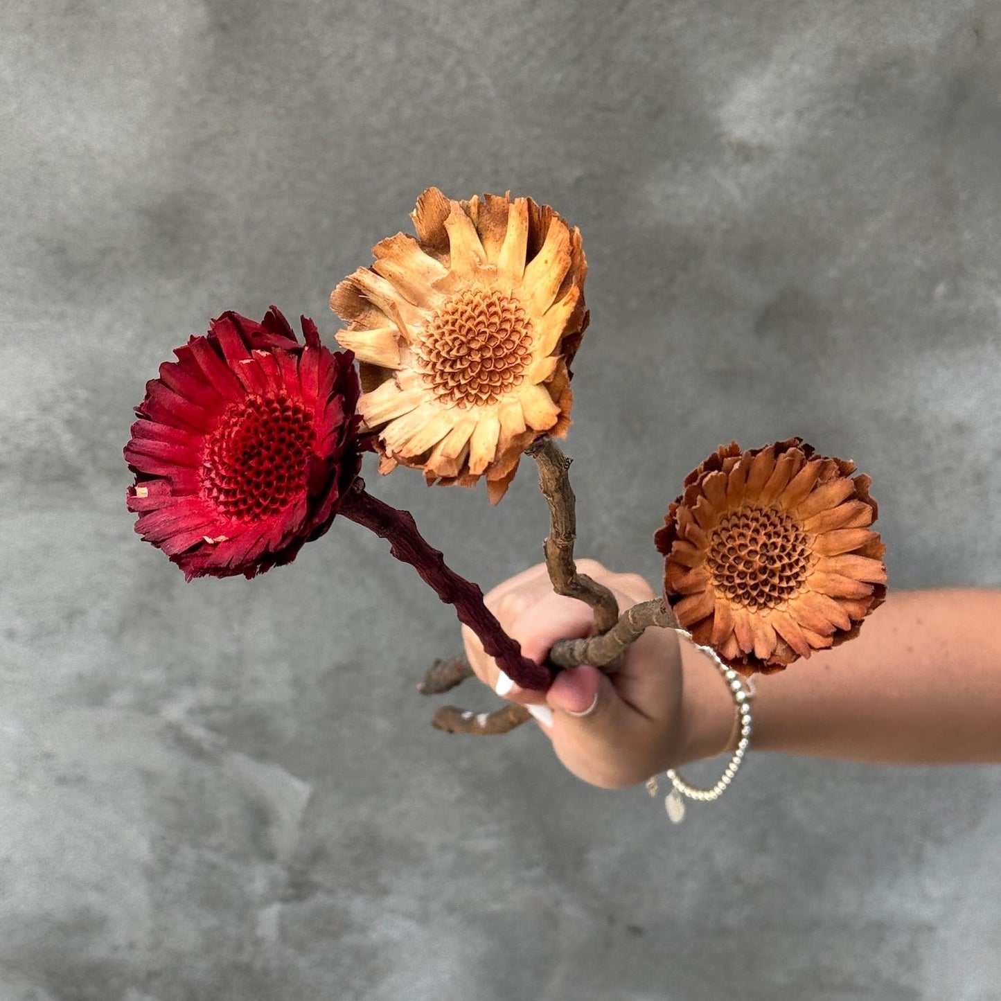 Girasol preservado