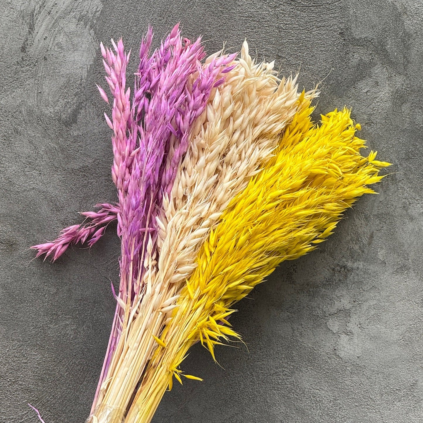 Flor de avena