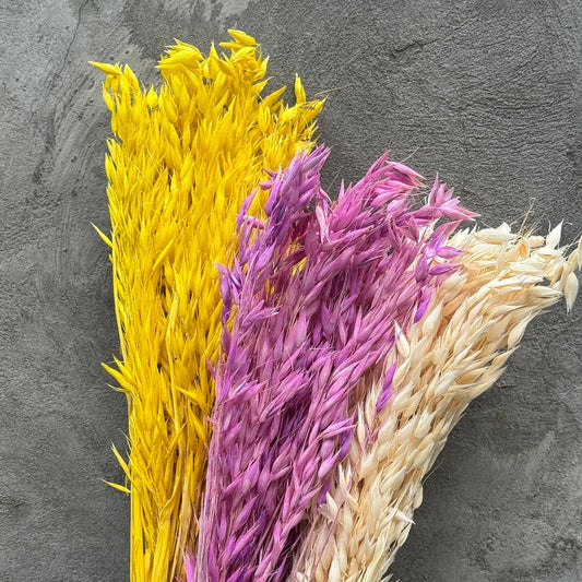 Flor de avena