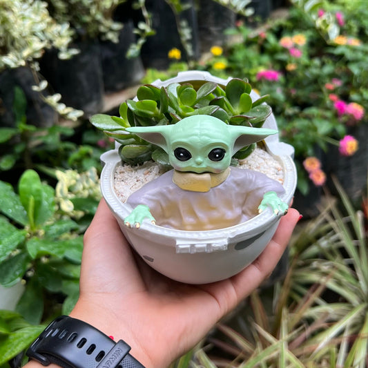 Baby Yoda