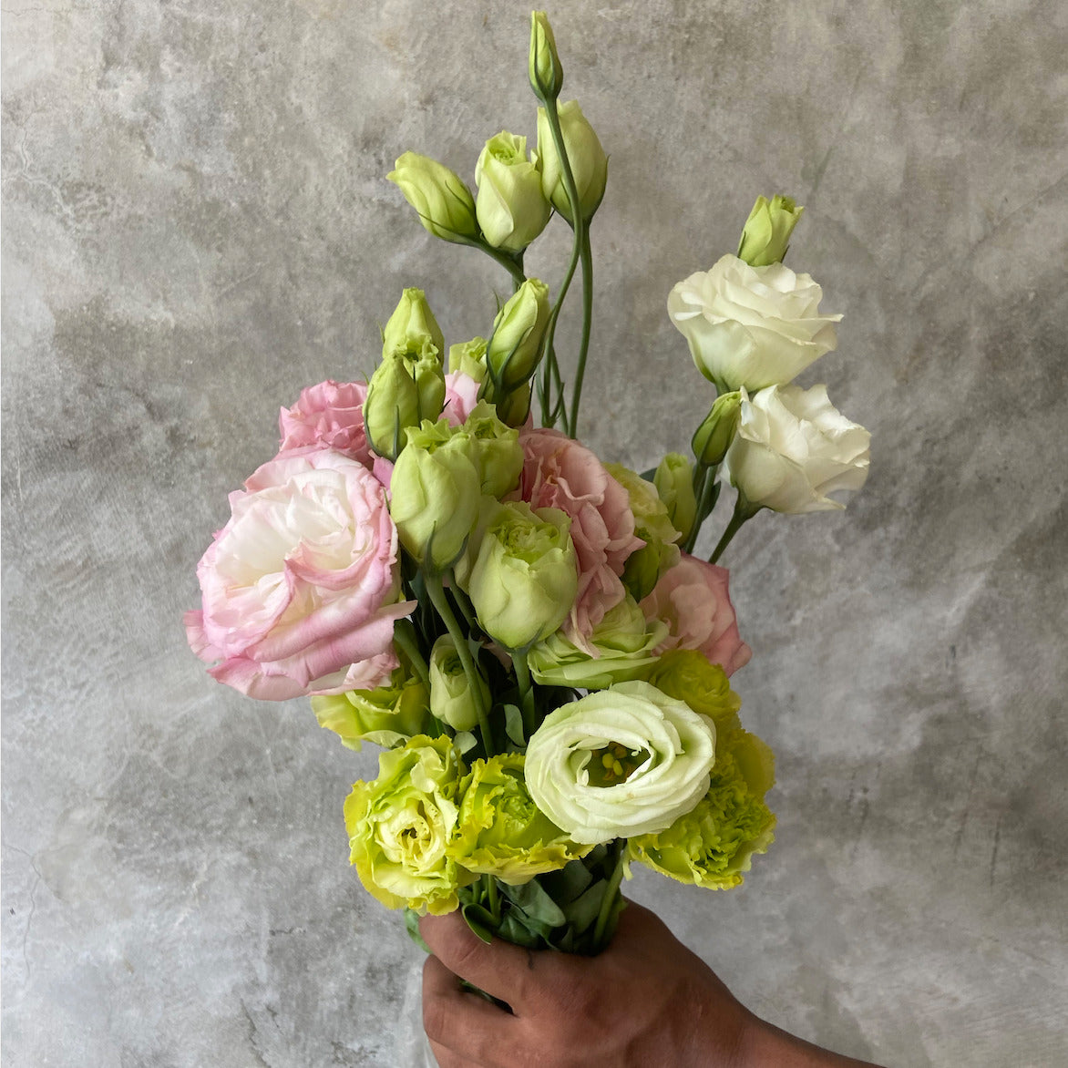 Lisianthus