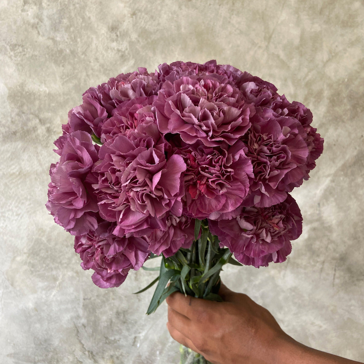 Clavel