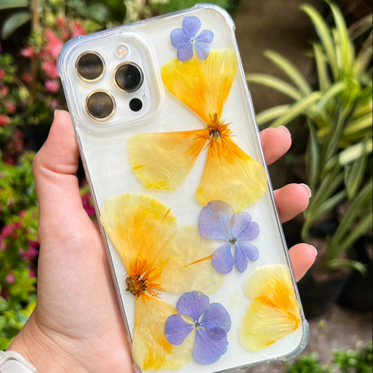 Case