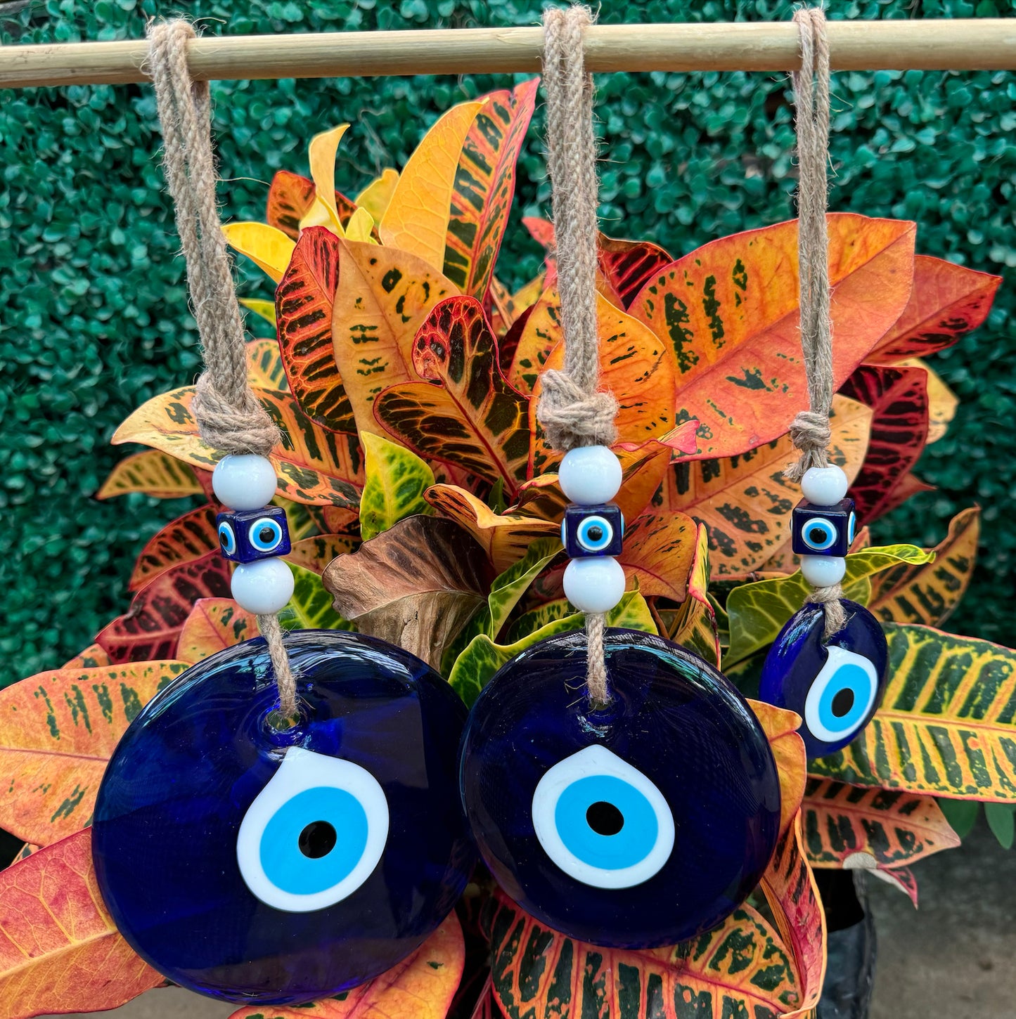 Ojo Turco