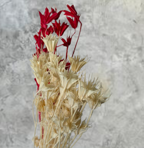 Flor de Anís Preservada