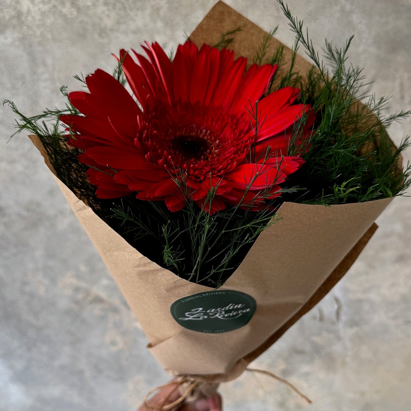 Gerbera arreglada