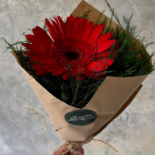 Gerbera arreglada