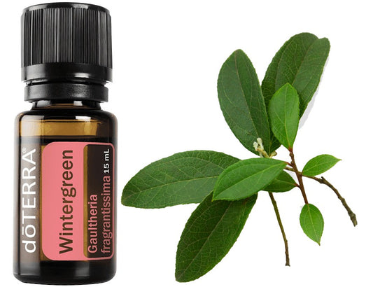 DOTERRA WINTERGREEN15ML