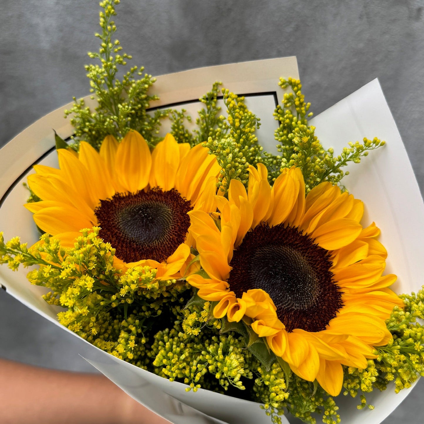 Girasoles arreglados