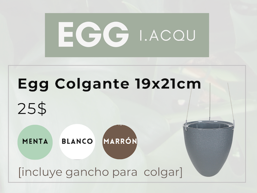 Egg