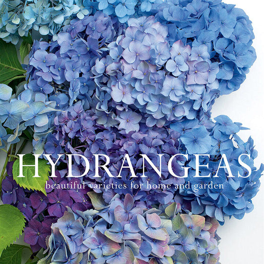 Hydrangeas