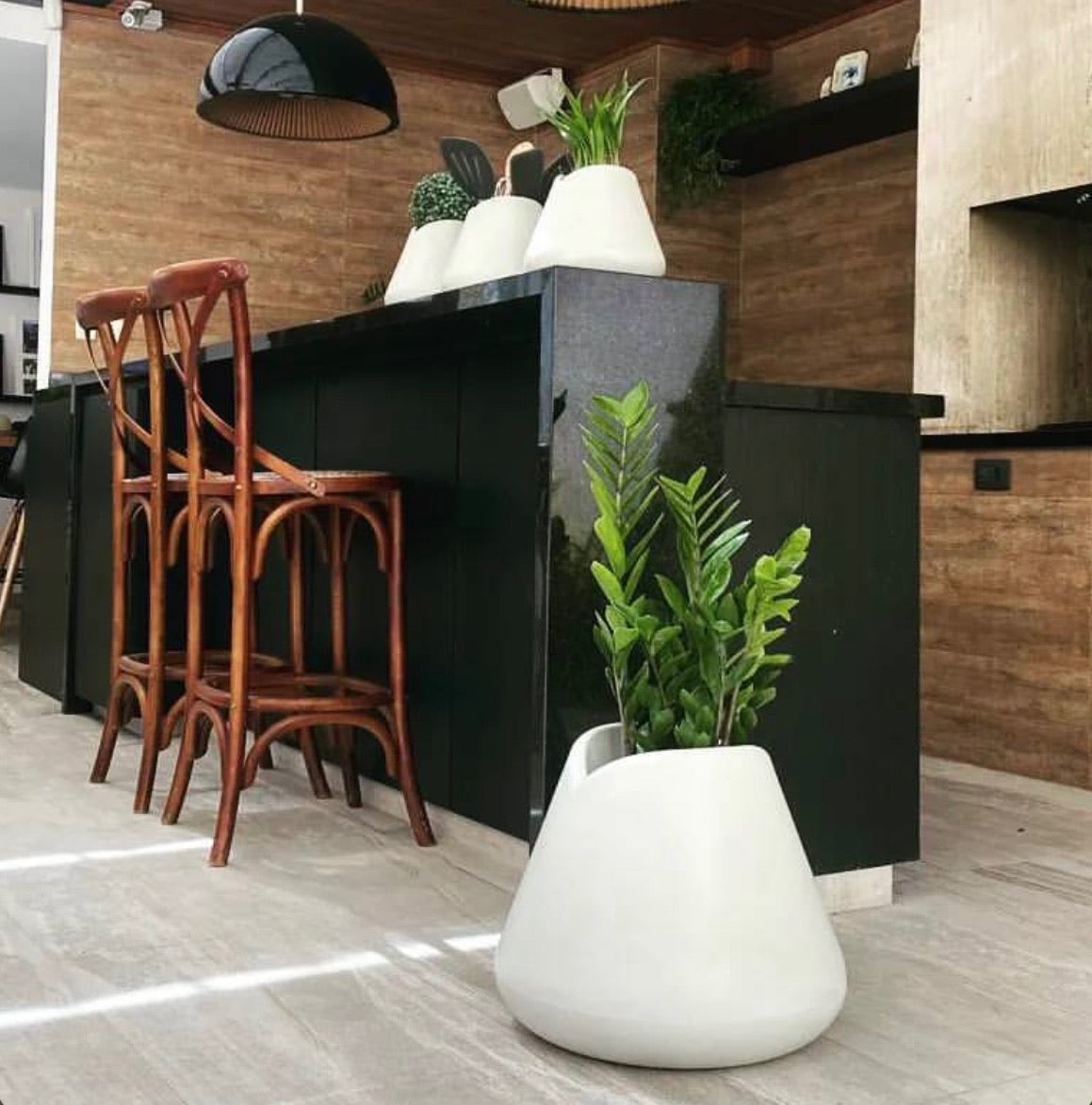 Tulipán + Zamia