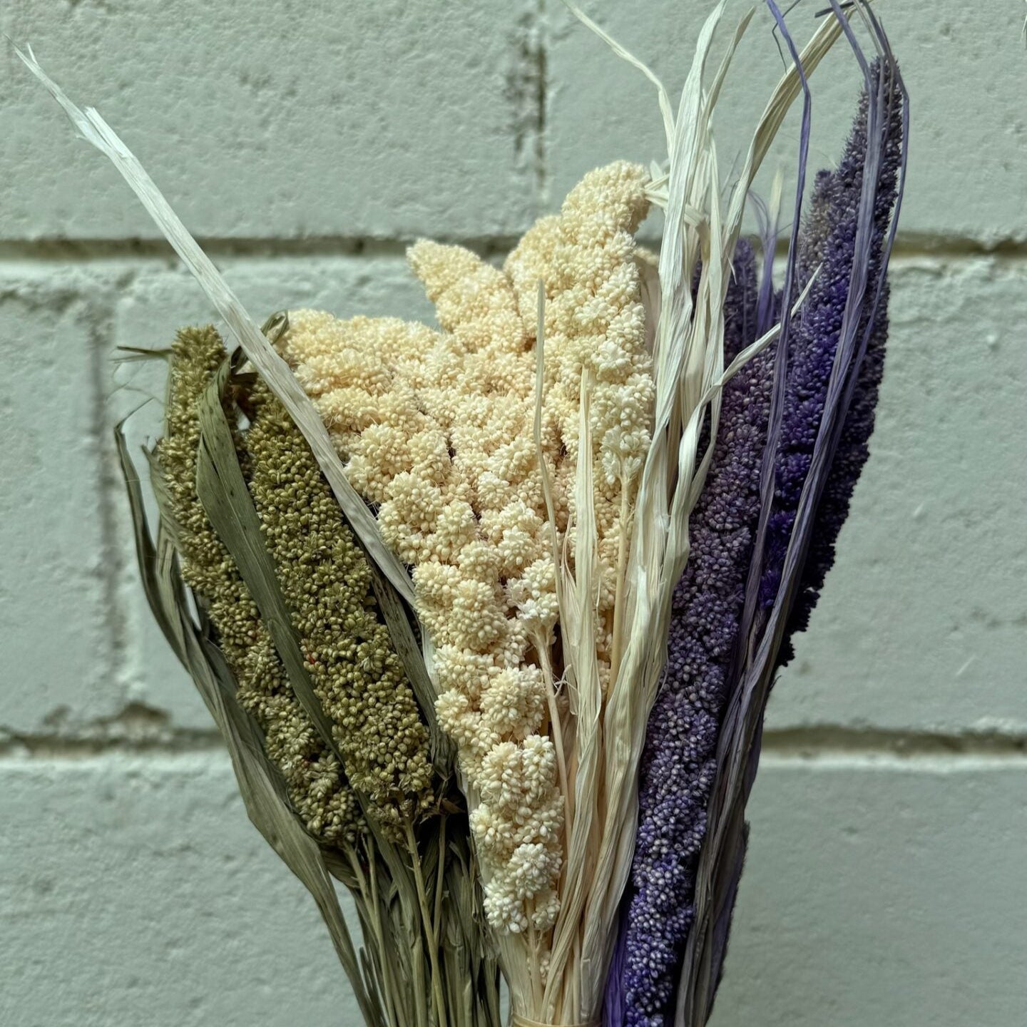 Millet