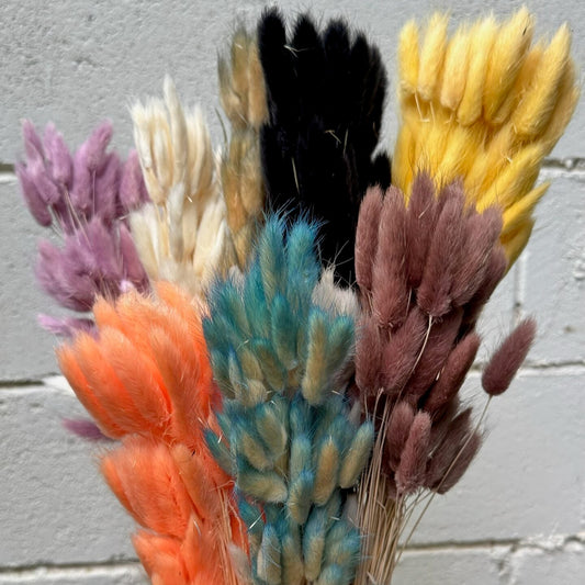 Colitas de Conejo