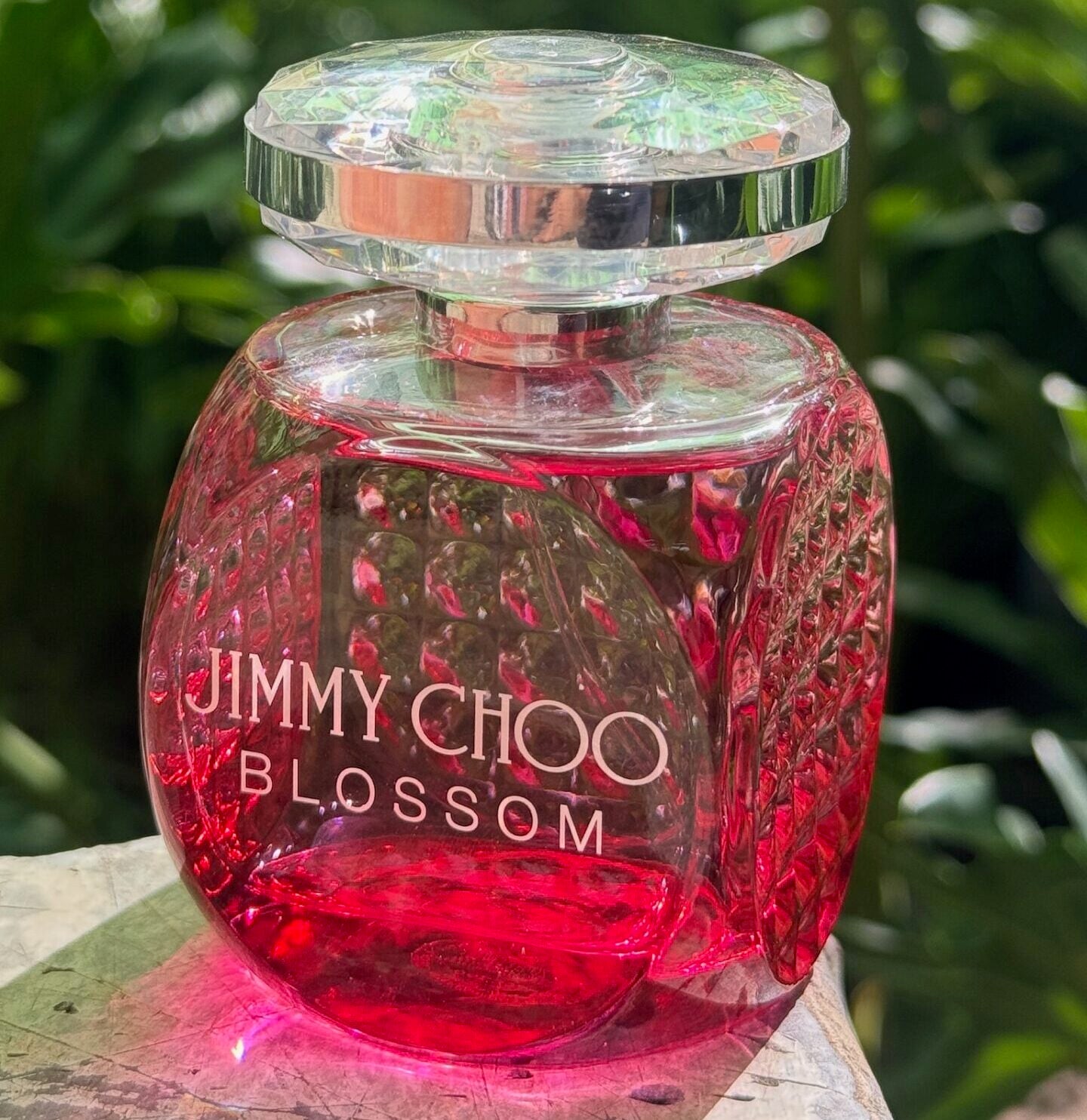 Blossom by Jimmy Choo