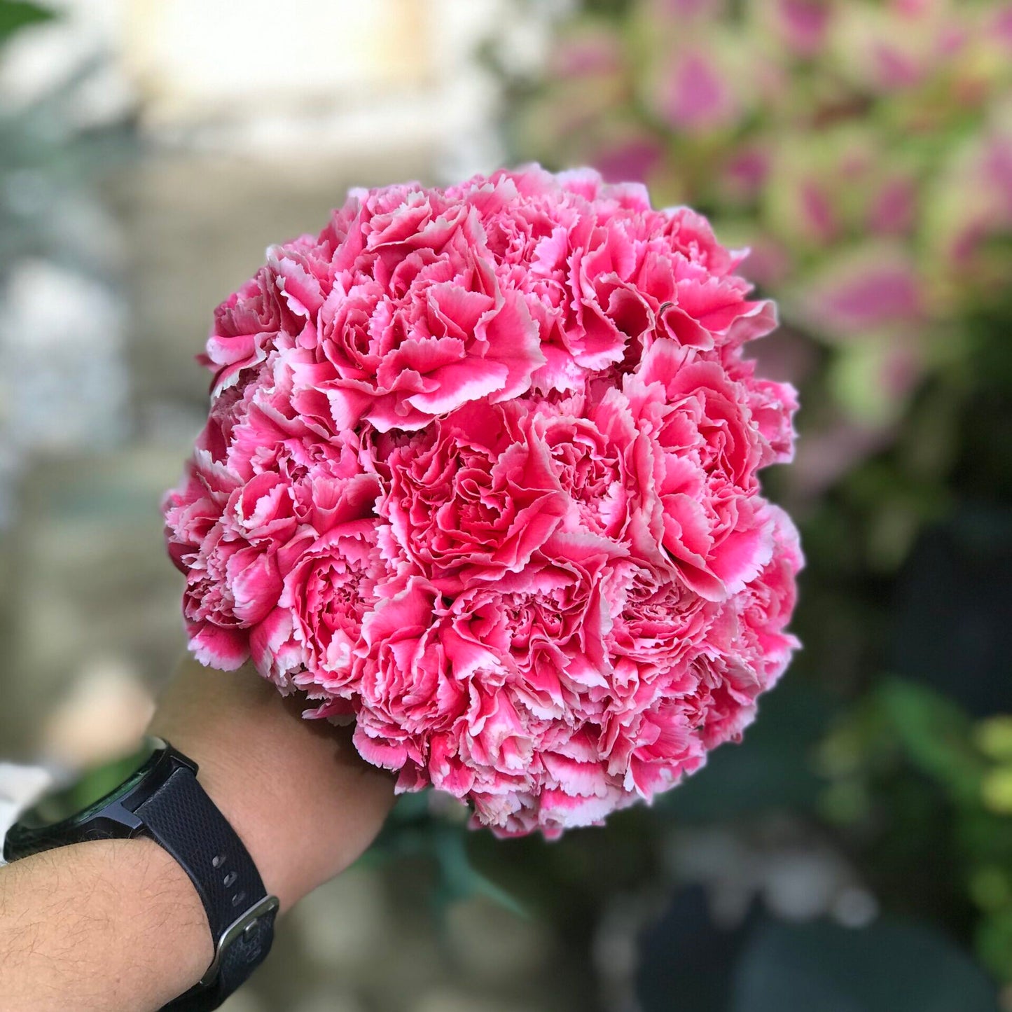 Clavel