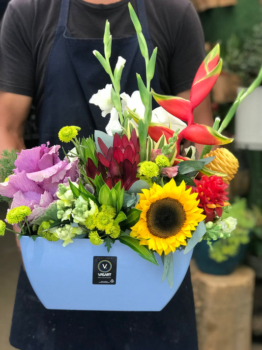Tropical Box