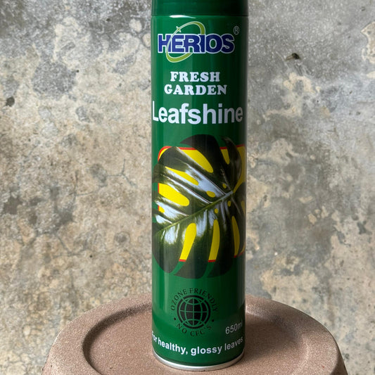 Aerosol Brilla Hoja