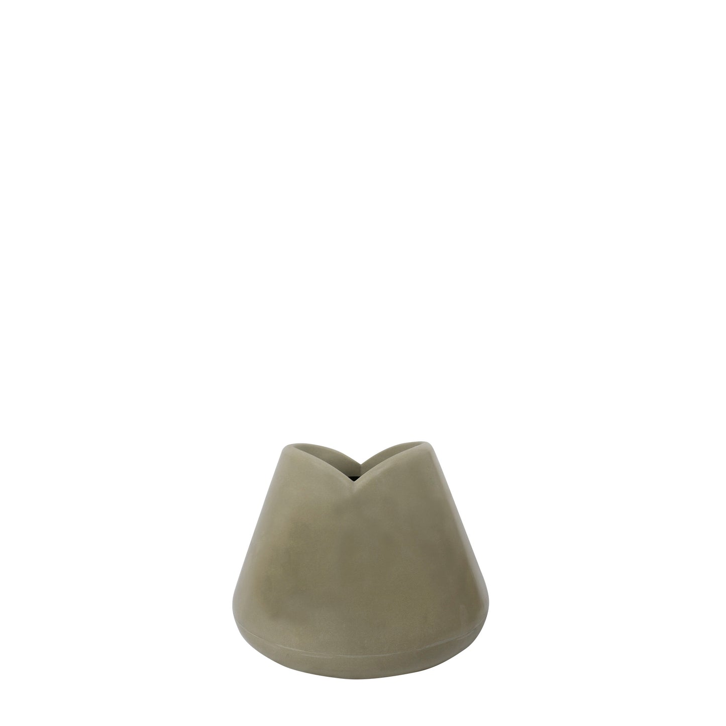 Tulipán + Zamia