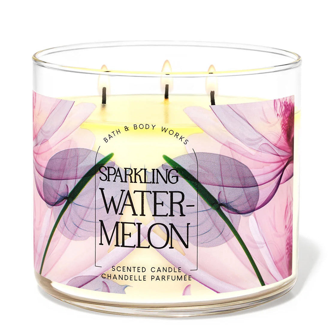 B&BW Vela Grande SPARKLING WATERMELON